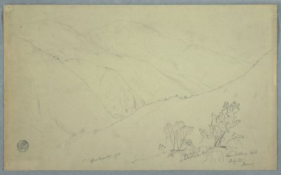 Desenho, Vista do Pico da Montanha Azul, visto de perto de Salloway Hill, Jamaica, julho de 1865 de Frederic Edwin Church