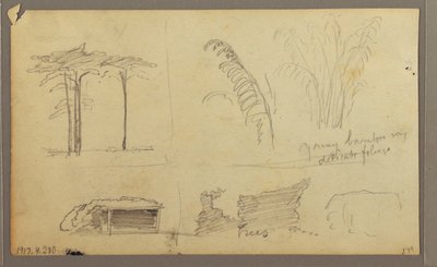 Desenho, Vistas da margem oriental do rio Guayas, em frente a Guayaquil, Equador, maio de 1857 de Frederic Edwin Church