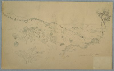 Desenho, vale arborizado com um grande feto e cordilheiras distantes, Jamaica, julho de 1865 de Frederic Edwin Church
