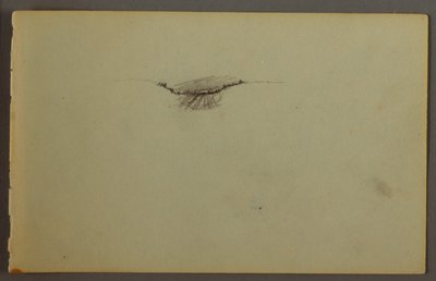 Desenho, Mergulho arborizado ao pôr do sol, possivelmente 1844 de Frederic Edwin Church