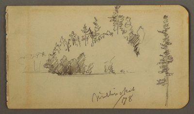 Desenho, Costa arborizada, estudo de árvores, 1878 de Frederic Edwin Church
