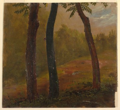 Desenho, Cena de um bosque, Jamaica, 1865 de Frederic Edwin Church