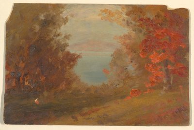 Desenho, Cena de bosque no outono (Hudson, Nova Iorque ou Maine), 1860-70 de Frederic Edwin Church
