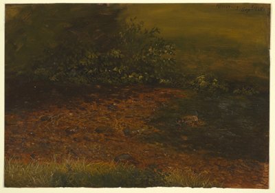 Desenho, riacho da floresta em Catskills, setembro de 1848 de Frederic Edwin Church