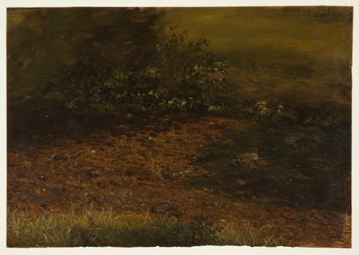 Desenho, riacho da floresta em Catskills, setembro de 1848 de Frederic Edwin Church