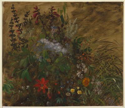 Flores na Jamaica de Frederic Edwin Church