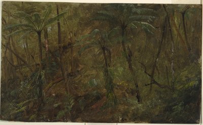 Na floresta, Jamaica de Frederic Edwin Church