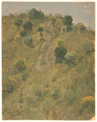 Paisagem, Jamaica de Frederic Edwin Church