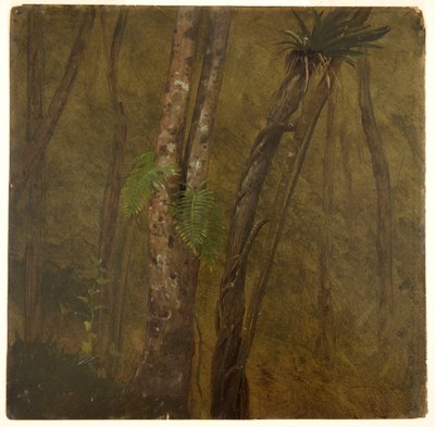 Paisagem na Jamaica de Frederic Edwin Church