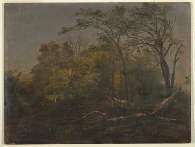 Maine Woods de Frederic Edwin Church