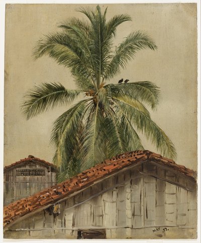 Palmeiras e telhados de casas, Equador de Frederic Edwin Church