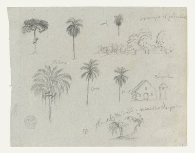 Esboços do Rio Magdalena, Colômbia.  Esboços botânicos. Uma igreja.  Semelhante a -103. de Frederic Edwin Church