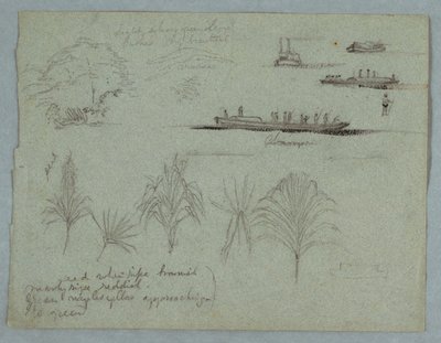 Esboços do Rio Magdalena, Colômbia: Plantas, Steamer e um Champan de Frederic Edwin Church