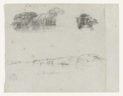 Esboços de árvores, videiras e uma margem do Rio Magdalena, Colômbia de Frederic Edwin Church