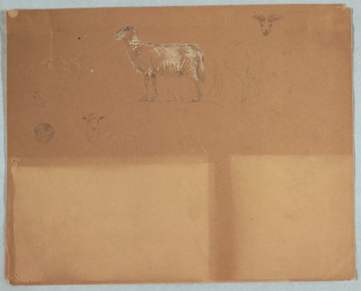 Estudos de Ovinos, Equador ou Colômbia de Frederic Edwin Church