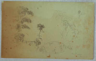 Estudos de árvores com detalhes de bambu e um pequeno detalhe de um homem carregando bananas na cabeça, Bellevue, Jamaica de Frederic Edwin Church