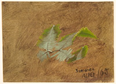 Estudo de Fern, Jamaica de Frederic Edwin Church