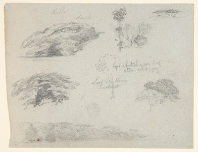 Árvores, copas das árvores e um banco arborizado, Saddleback, Maine de Frederic Edwin Church