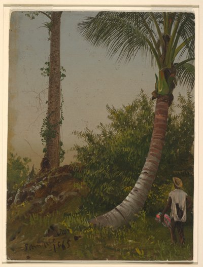 Árvores na Jamaica, Índias Ocidentais de Frederic Edwin Church