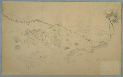Vale arborizado com uma grande samambaia e cordilheiras distantes, Jamaica de Frederic Edwin Church