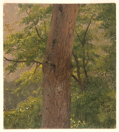 Estudo da Floresta, Jamaica de Frederic Edwin Church