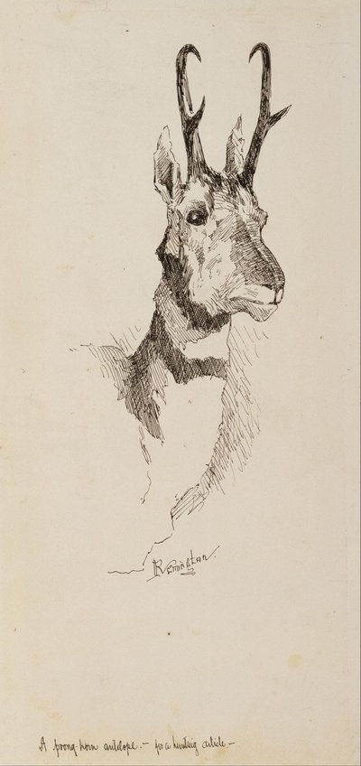 Um antílope Pronghorn de Frederic Remington