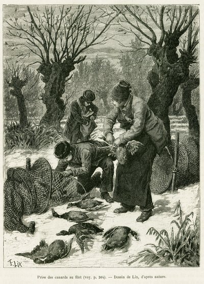 Apanhar patos na rede. Gravura de Lix, para ilustrar a história A Through Alsace and Lorraine, em 1887, de Charles Grad, deputado alemão, no tour du monde 1888, dirigido por Edouard Charton (1807-1890), Hachette, Paris. de Frederic Theodore Lix