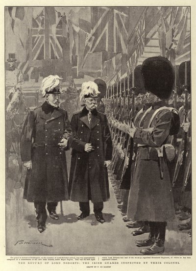 O retorno de Lord Roberts, os guardas irlandeses inspecionados por seu coronel de Frederic de Haenen