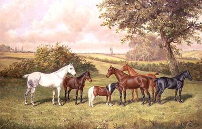 Um Grupo de Póneis de Frederick Albert Clark