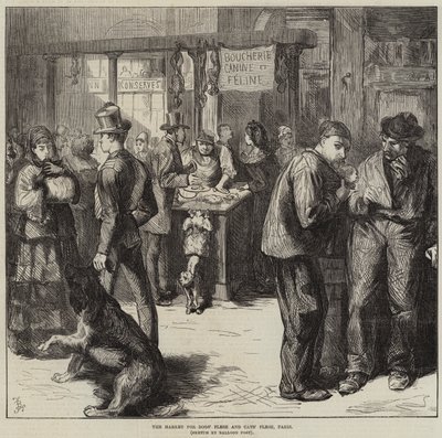 O mercado para carne de cães e gatos, Paris de Frederick Barnard