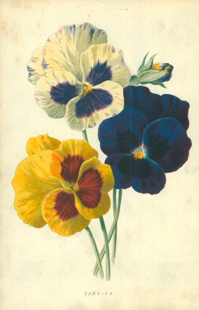 Amores-perfeitos de Frederick Edward Hulme