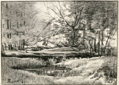 Piscina no Adirondacks de Frederick Eugene Bartlett