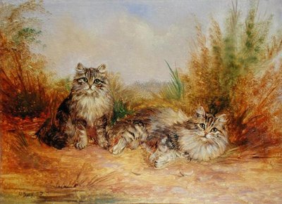 Dois Filhotes de Tabby em uma Paisagem Rural (óleo a bordo) de Frederick French