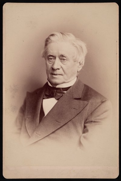 Retrato de Joseph Henry 1797-1878, 1876. de Frederick Gutekunst