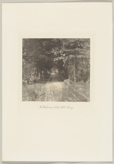 Bosque de abetos perto de Leith Hill, Surrey de Frederick H. Evans
