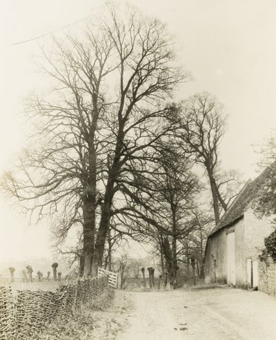Mansão Kelmscott: Estrada e entrada de Frederick H. Evans