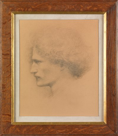 Ignacy Jan Paderewski (platinótipo) de Frederick Hollyer