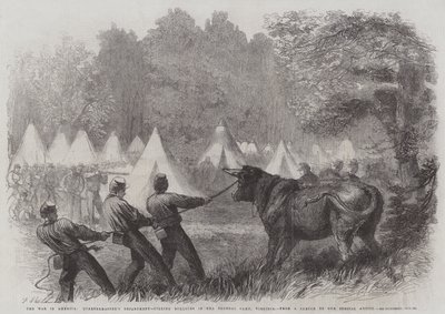 A Guerra na América, Departamento de Intendente, matando Bois no Acampamento Federal, Virgínia de Frederick John Skill