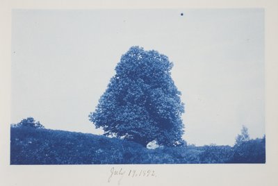 Sem título, 19 de julho de Frederick K. Coulson