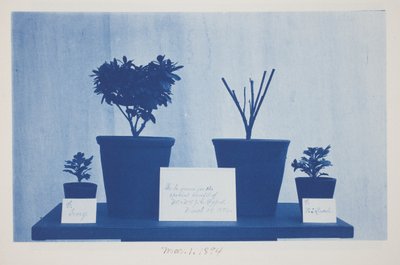 Sem título, 1 de março de Frederick K. Coulson