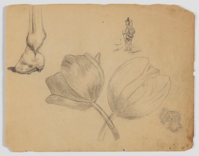 Página do caderno de Frederick Krieg