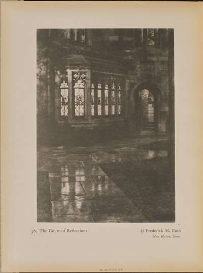 O Tribunal das Reflexões de Frederick M. Bush