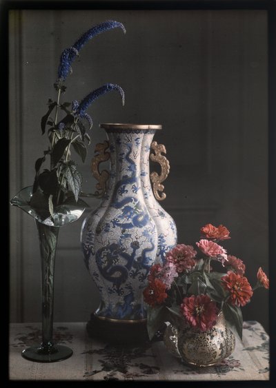 Natureza morta com vaso chinês ornamentado de Frederick S. Dellenbaugh
