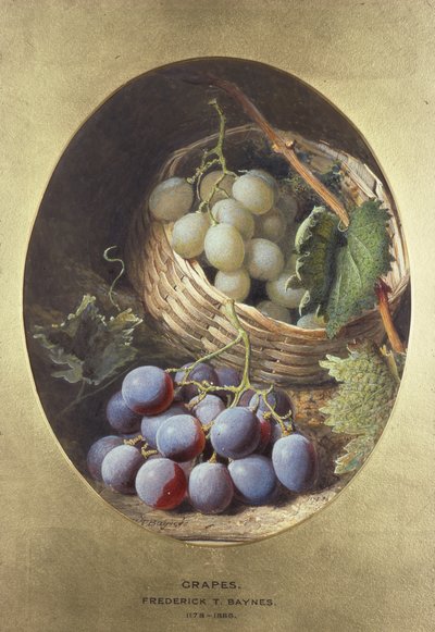Uvas vermelhas e brancas de Frederick Thomas Baynes