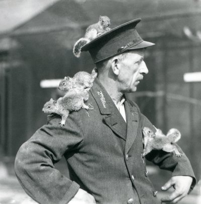 Um Guardião de Segunda Classe com quatro jovens Esquilos Cinzentos a subir no seu chapéu e casaco de uniforme, no Jardim Zoológico de Londres de Frederick William Bond
