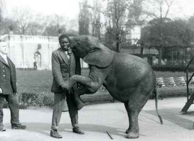 Um jovem elefante pigmeu Africano fica em suas patas traseiras para abraçar seu treinador Africano, enquanto o guardião olha, London Zoo, de julho de 1925 de Frederick William Bond