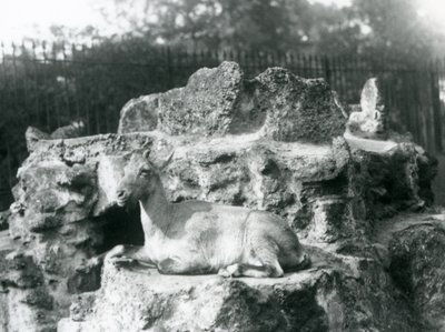 Um íbex do Himalaia descansando em uma borda de pedra no zoológico de Londres, agosto de 1927 de Frederick William Bond