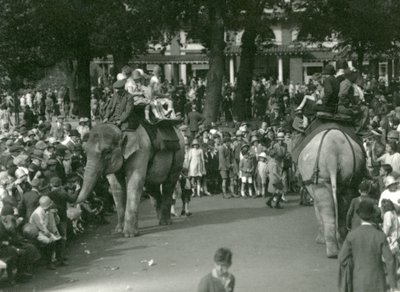 Passeios de Elefante, com dois elefantes asiáticos observados por multidões de espectadores no Jardim Zoológico de Londres em agosto de 1926 (foto a p/b) de Frederick William Bond