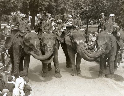 Passeios de elefante no zoológico de Londres, julho de 1936 de Frederick William Bond