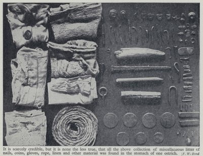 Itens encontrados no estômago de uma avestruz (foto a p/b) de Frederick William Bond